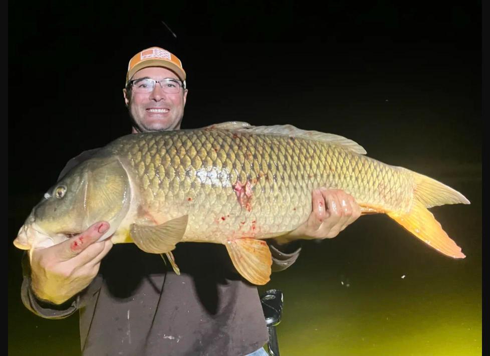 Bowfishing
